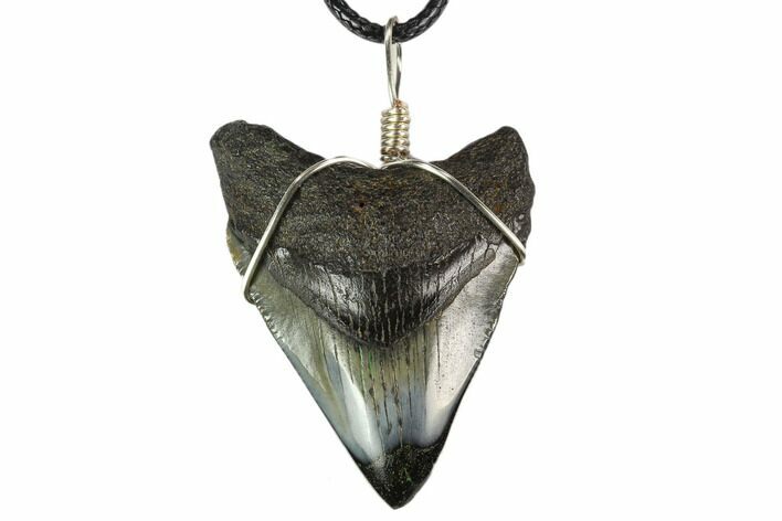 Fossil Megalodon Tooth Necklace #130378